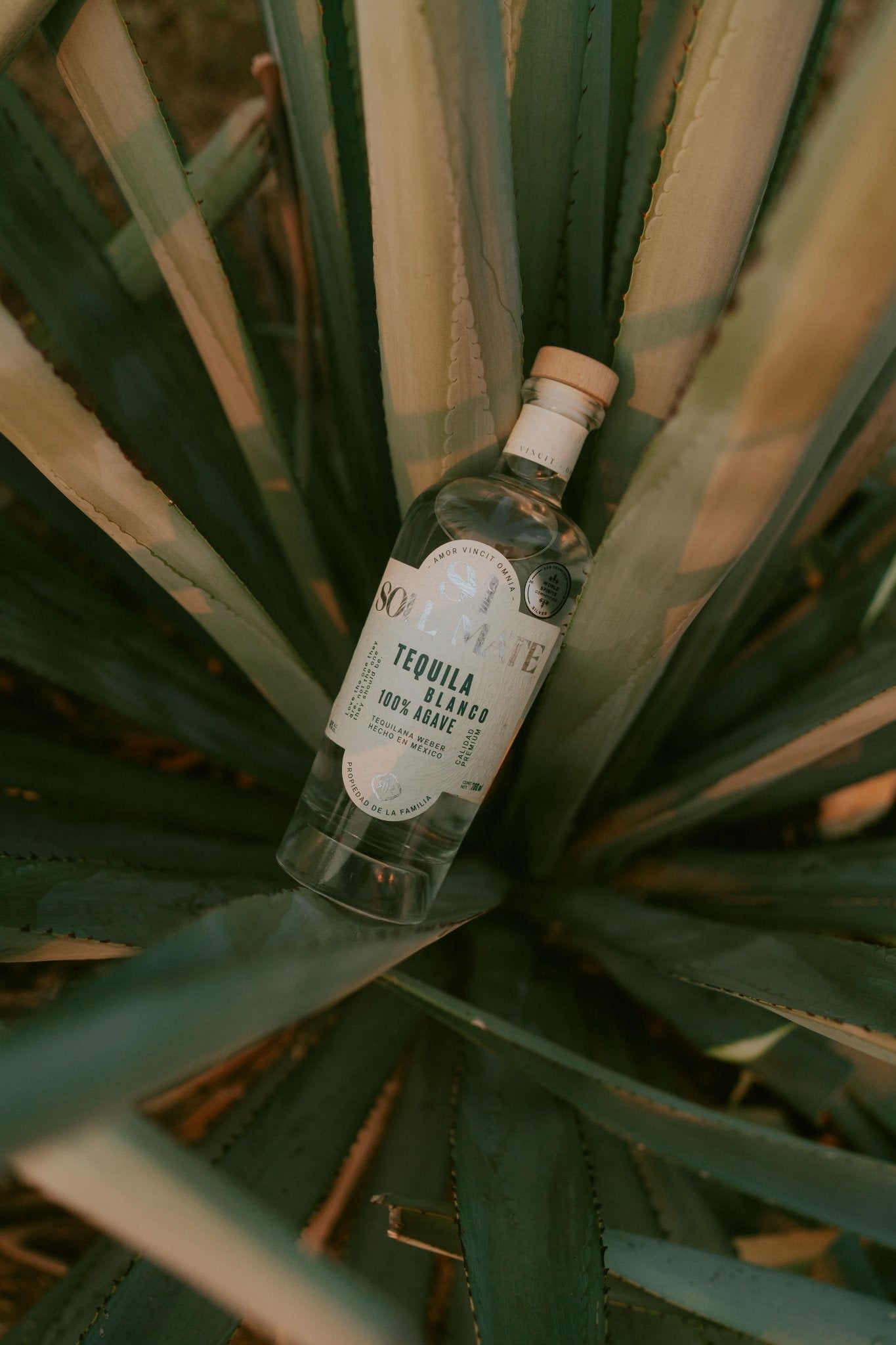 Blanco - Soulmate TequilaBlanco
