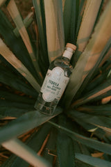 Blanco - Soulmate TequilaBlanco