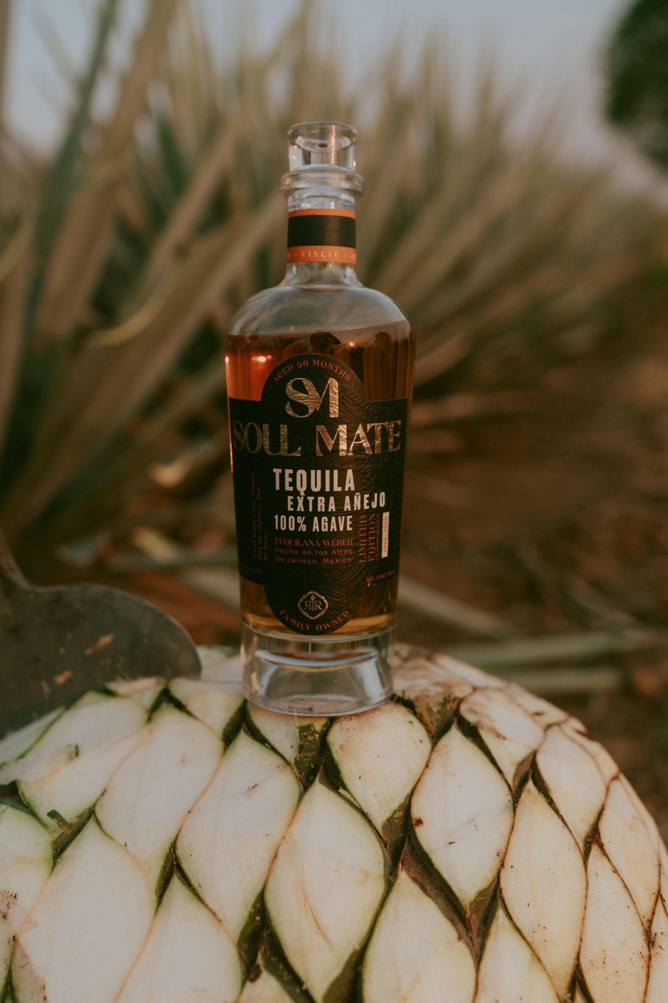 Extra Añejo - Soulmate TequilaExtra Añejo